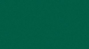 Binder Forest Green