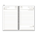 American Flag Diary