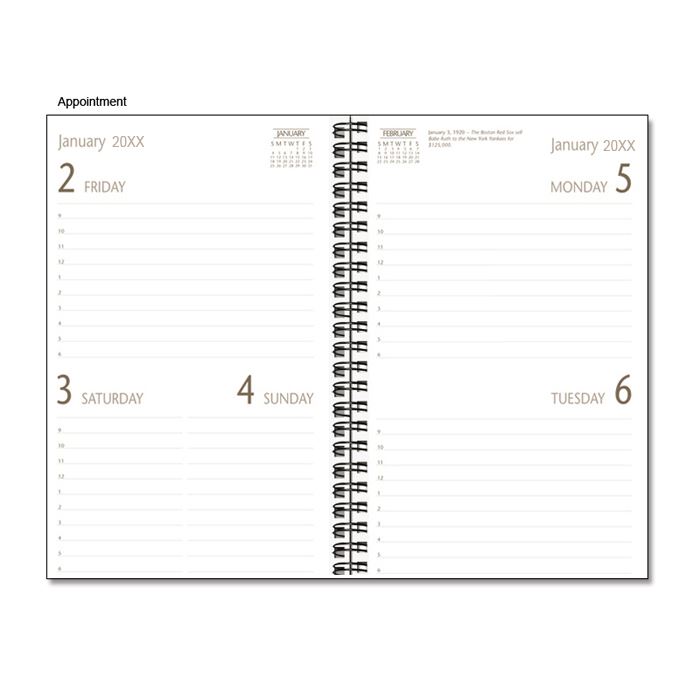 American Flag Diary