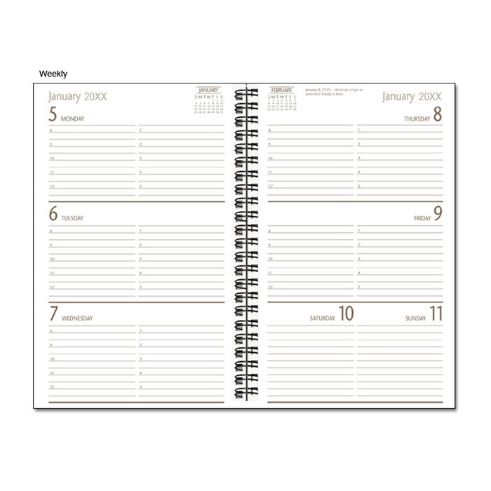 American Flag Diary