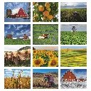 7247_27_Months.webp