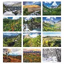1755_27_Months.webp