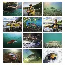 7299_27_Months.webp