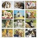 810_27_Months.webp