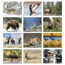 1803_27_Months.webp