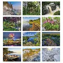 1772_27_Months.webp