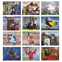 1552_27_Months.webp
