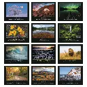 1600_27_Months.webp