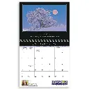 1600_27_Open_Ad.webp