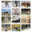 1801_27_Months.webp