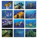 7217_27_Months.webp