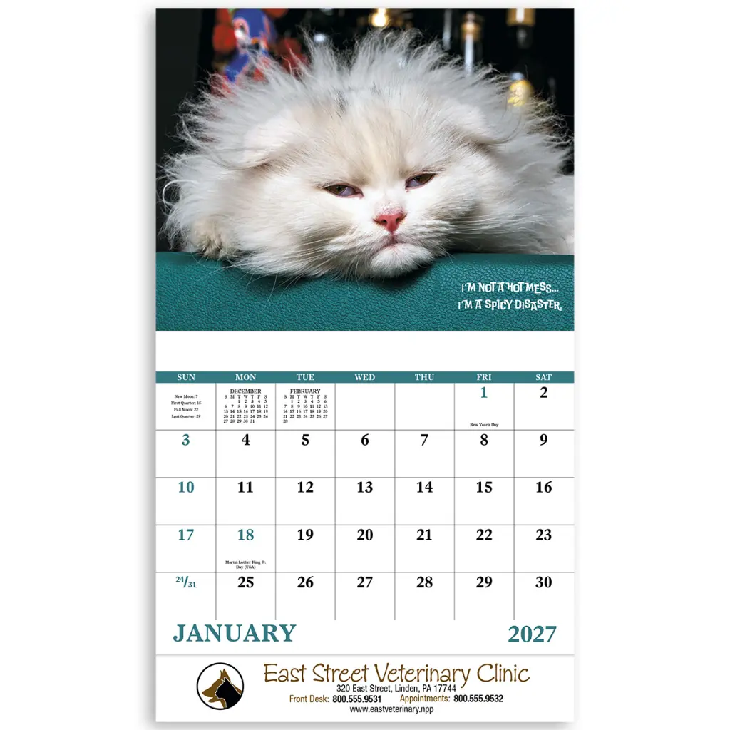 7286_27_Open_Ad.webp