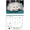 7286_27_Open_Ad.webp