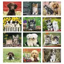 7207_27_Months.webp