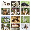 1054_27_Months.webp