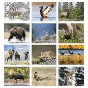 1805_27_Months.webp