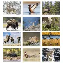 1804_27_Months.webp
