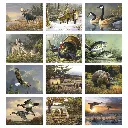 1811_27_Months.webp