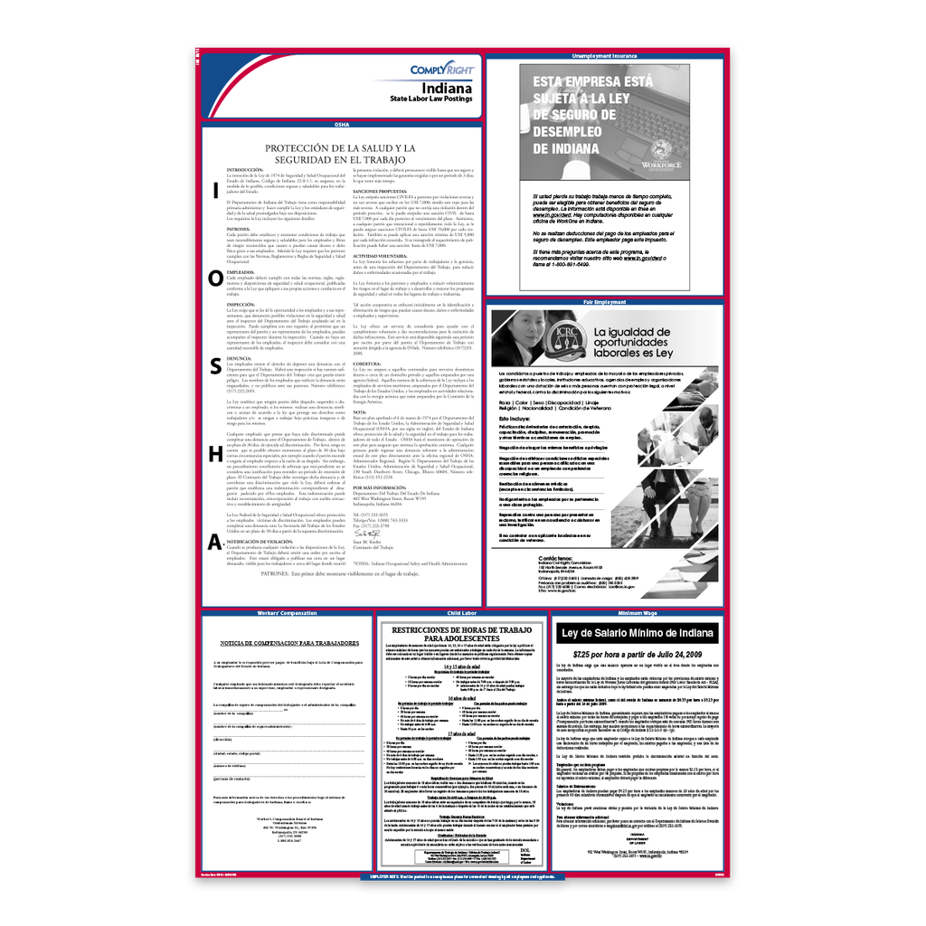 State Labor Law Poster - Spanish