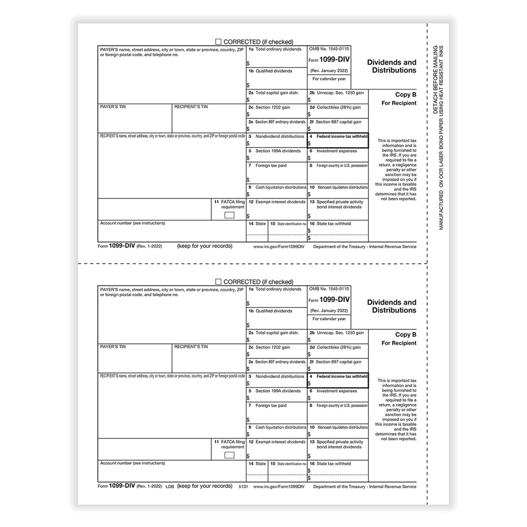 Tax Form 1099-DIV - Copy B/ 2 Recipient (5131)