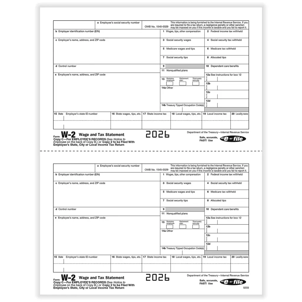 [5203] Tax Form W-2 - Copy C/ 2 - Employee Record - 2up (5203)