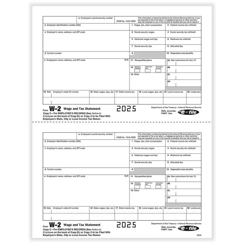 [5203] Tax Form W-2 - Copy C/ 2 - Employee Record - 2up (5203)