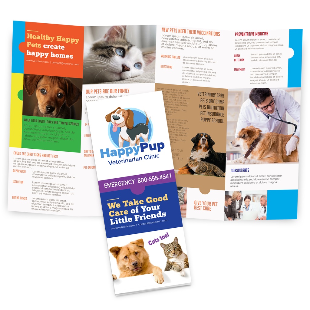 4-Panel Accordion Fold Brochure