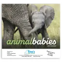 Animal Babies Appointment Wall Calendar