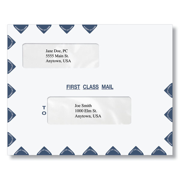[030-619] Tax Software Envelope - Double Windows 9.5 x 12